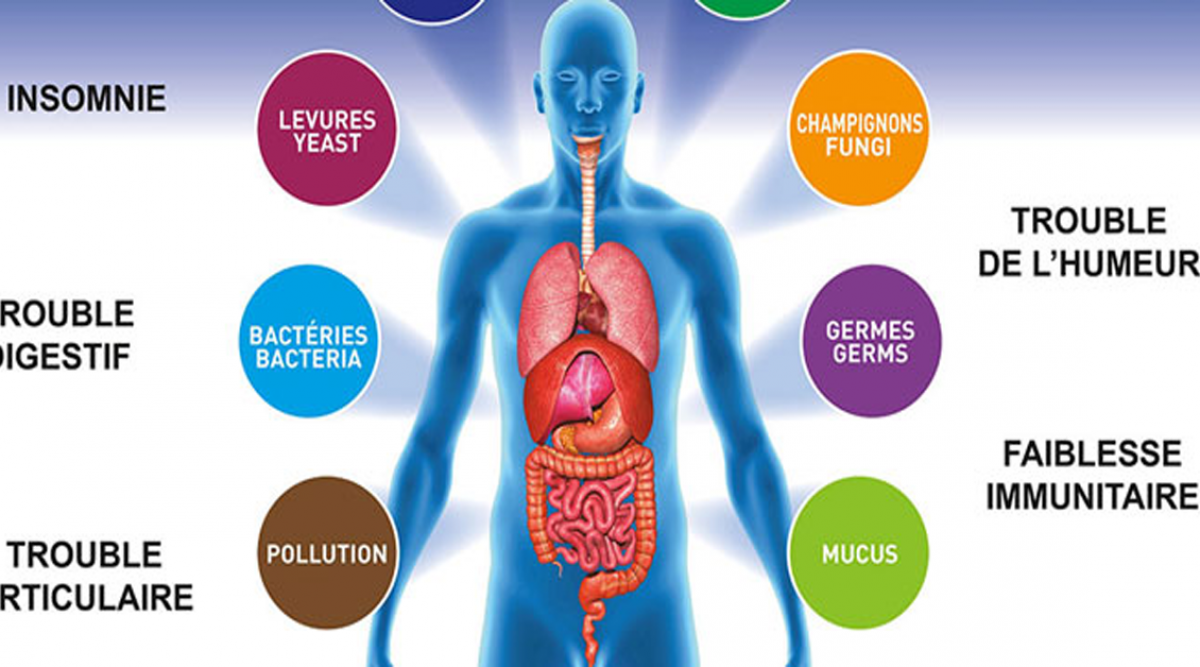 toxine corps - toxines dans le corps symptômes
