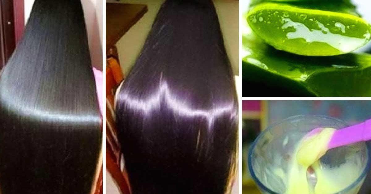 8 Remèdes Naturels Contre La Chute De Cheveux