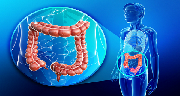 Here's how you get rid of the 15 pounds of waste from your colon