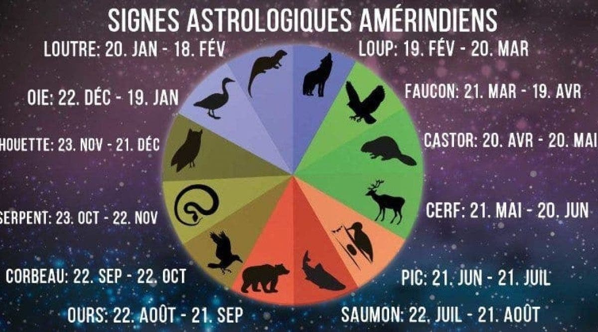 Astrologie : Voici Les Signes Du Zodiaque Amérindien Et Ce Qu’ils ...