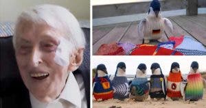 Alfred Date à 109 Ans : Tricote des Cardigans pour Sauver les Pingouins