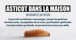 Asticot dans la maison : signification spirituelle et interprétations selon les différentes cultures