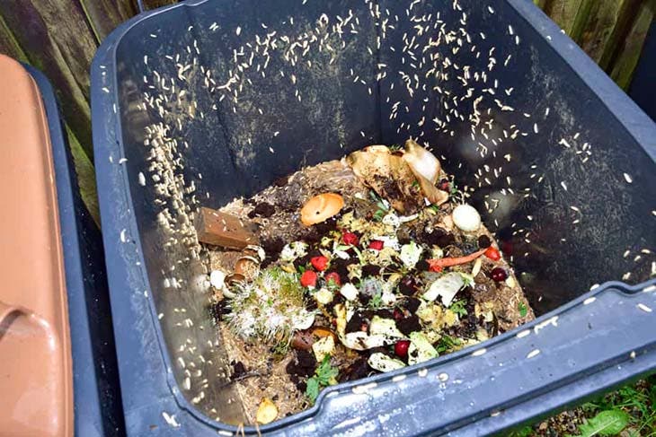 Comment éviter les asticots dans les poubelles ?