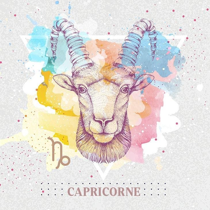 fantastic capricorn