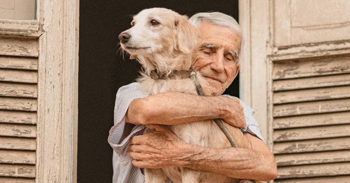 Capturer l'amour : Un photographe brésilien immortalise la tendresse entre un homme et son chien