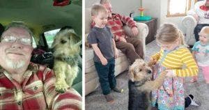 Ce grand-père traverse le pays pour offrir un chien errant à ses petits-enfants « Mes petits enfants sont tout pour moi »