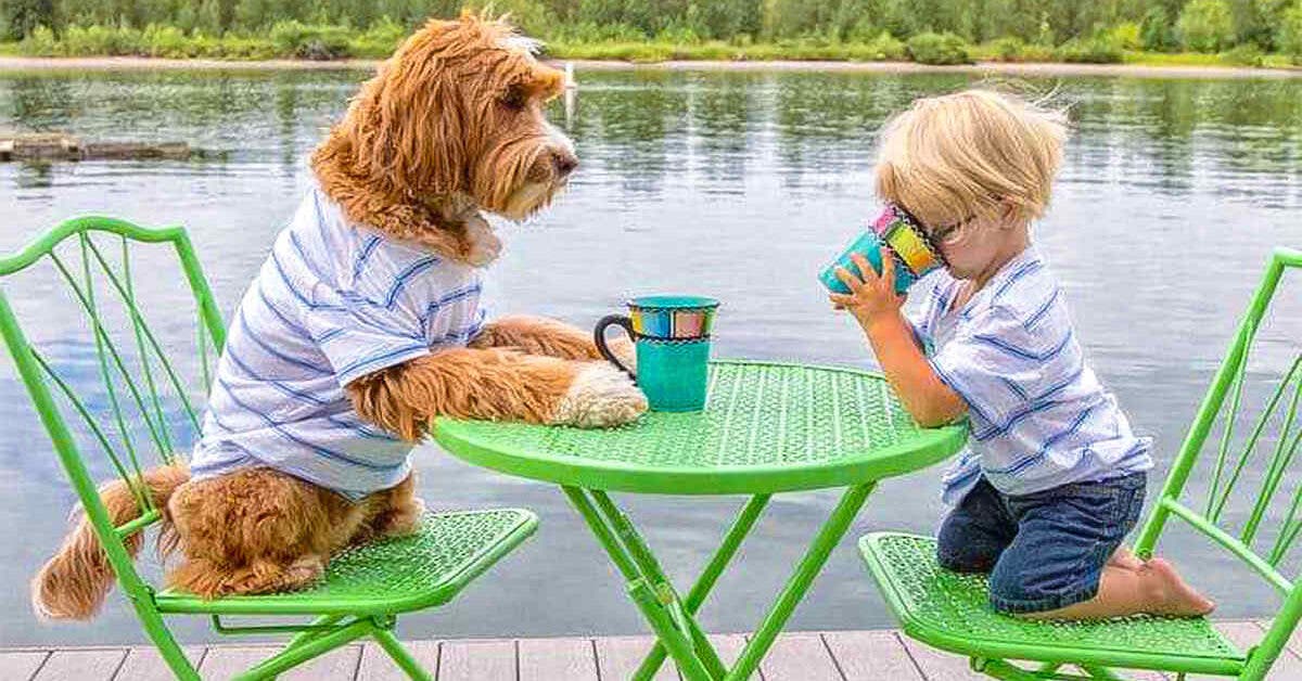 Ce petit garçon adopté de 3 ans crée une belle relation d'amitié avec le chien de sa famille d’accueil
