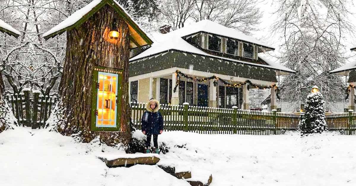 Comment une bibliothécaire a transformé un arbre de 110 ans en bibliothèque libre