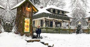 Comment une bibliothécaire a transformé un arbre de 110 ans en bibliothèque libre