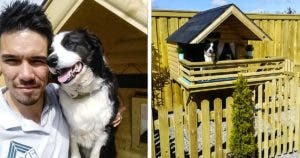 David Connolly : cet homme bâtit une cabane de rêve pour sa chienne Maya