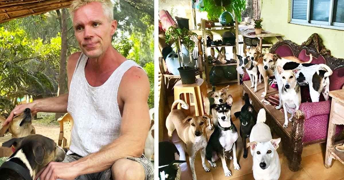 Dog Temple à Goa : Ingo et son Refuge pour Chiens Abandonnés