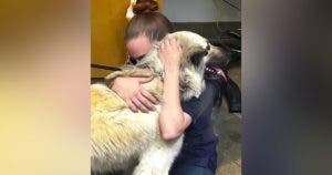 Elle abandonne son chien au refuge faute de pouvoir le nourrir : le refuge lui offre la nourriture à vie pour qu’elle puisse le garder