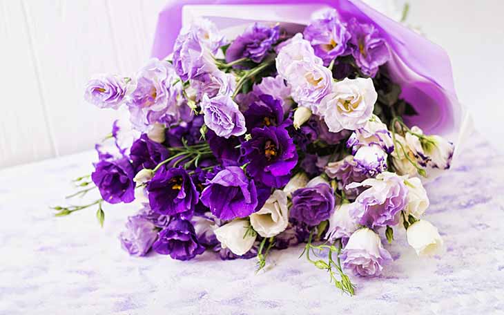Bouquet de fleurs violettes 