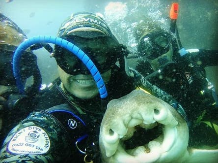 le selfie de Rick avec la femelle requin et d’autres nageurs