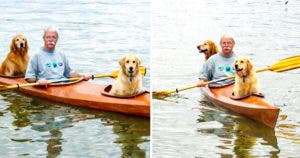 Les aventures en kayak de David Bahnson et ses chiens : Un voyage familial inoubliable