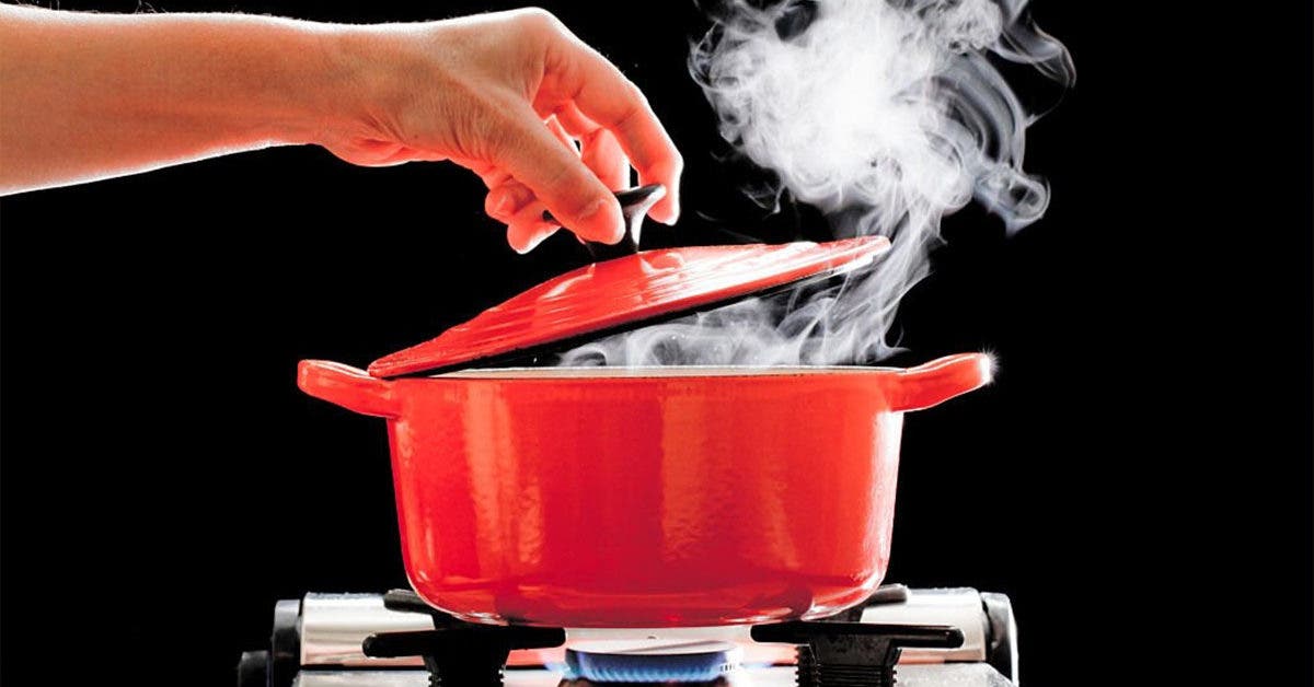 Matériaux de cuisson : lesquels choisir pour une cuisine saine ? - La  Maison du 21e siècle - Le Magazine de la Maison Saine