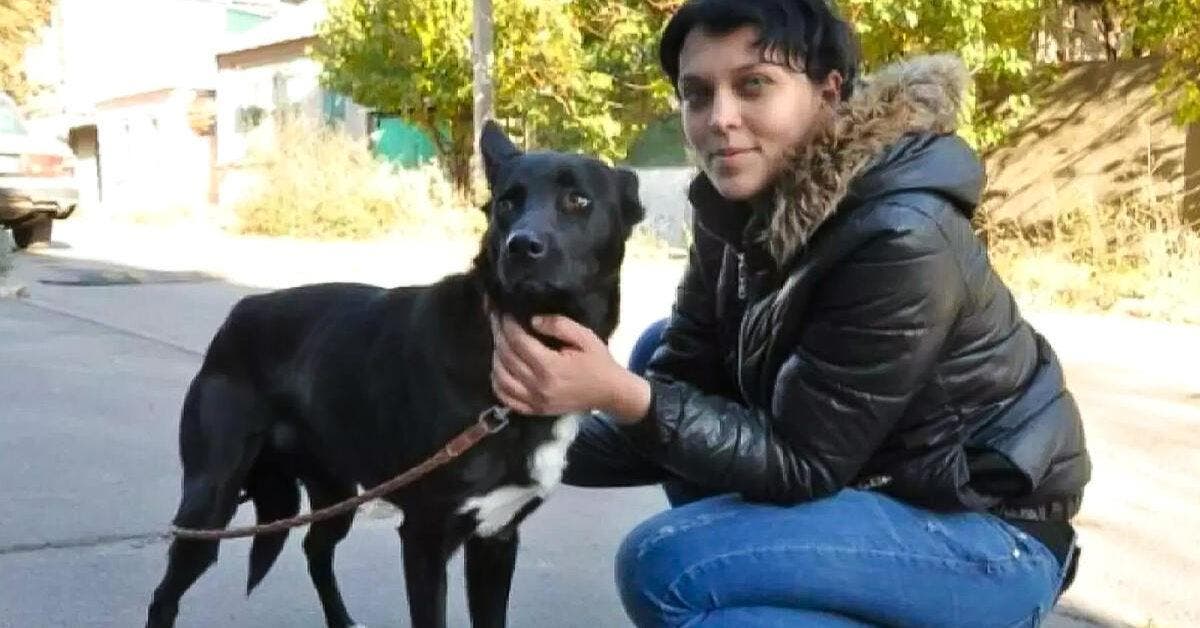 Loyauté canine : l'histoire émouvante de Shavi, le chien russe, et sa bienfaitrice Nina