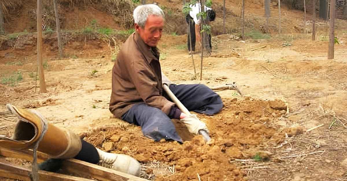 Ma Sanxiao : Le Héros de 70 Ans Qui Sauve les Forêts de Chine