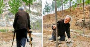 Ma Sanxiao : L'homme qui a planté 17 000 arbres