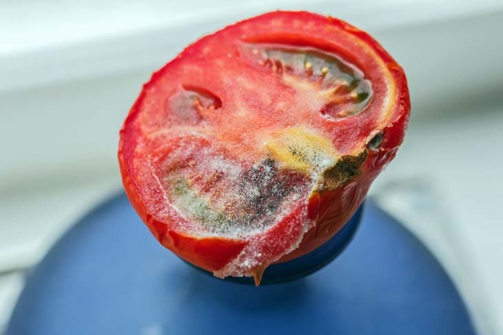De la moisissure sur la moitié d’une tomate 