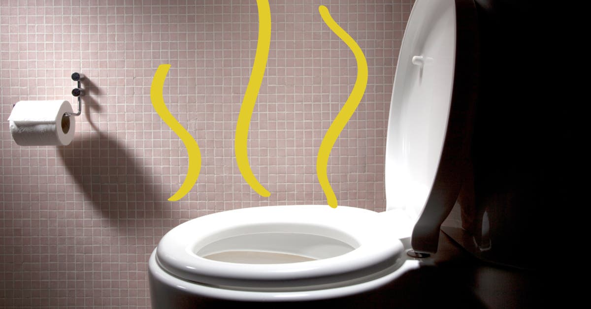 Comment Enlever l'Odeur d'Urine dans les Toilettes