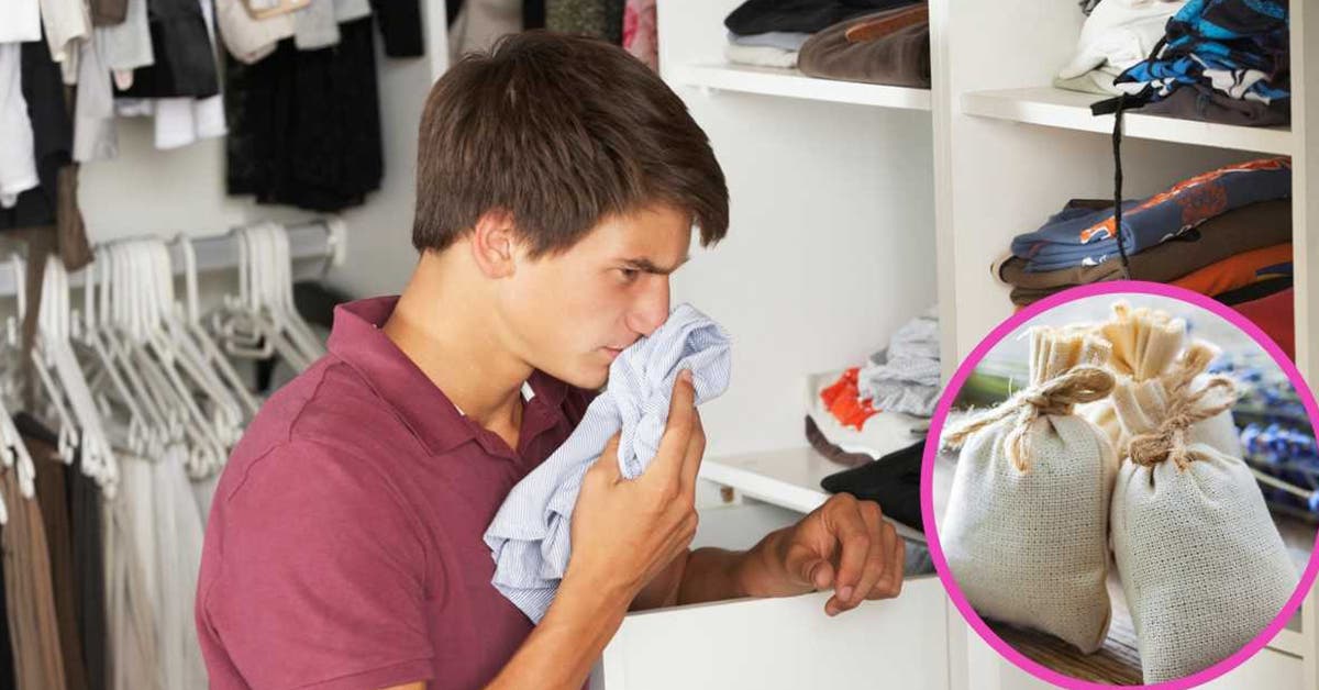 Comment retirer les mauvaises odeurs de son placard ou armoire : Femme  Actuelle Le MAG