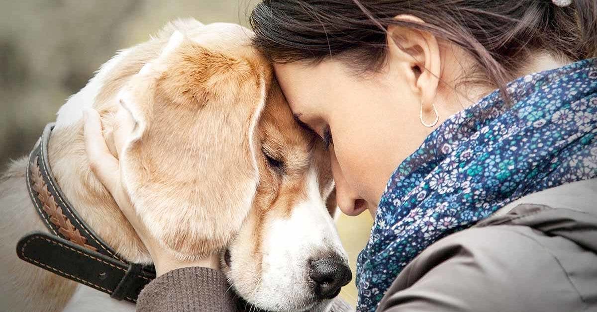 Perdre un chien : une épreuve de vie incomparable