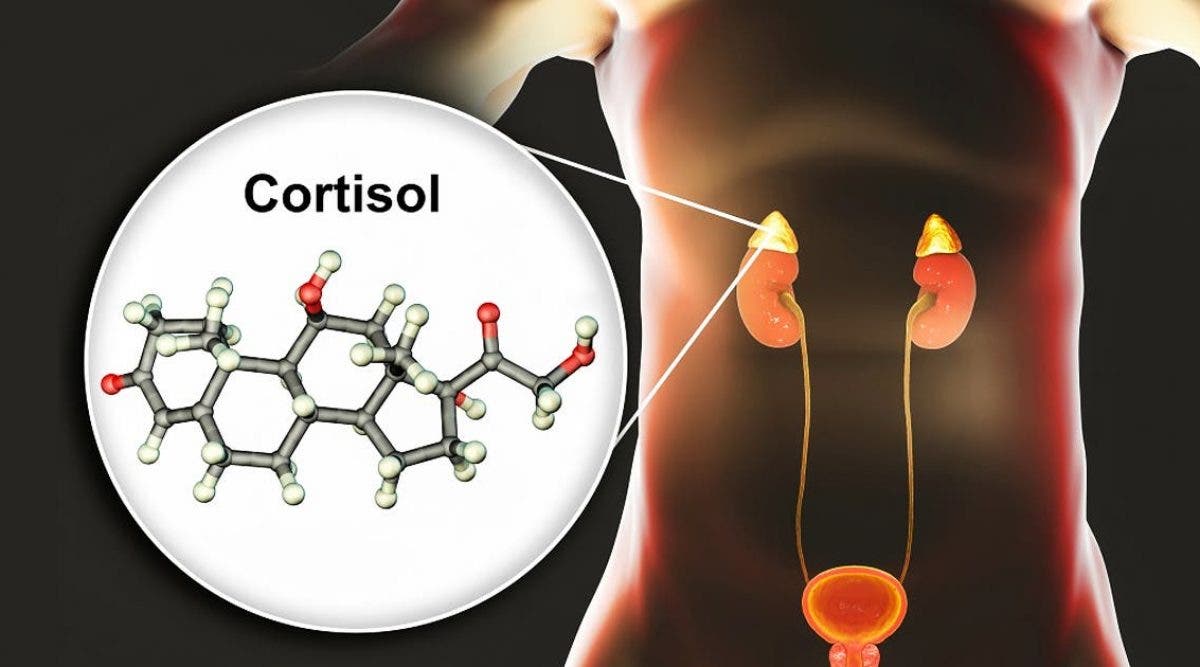 Est-ce grave d'avoir un taux de cortisol élevé ?