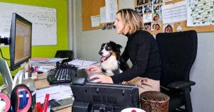 Ramener Son Chien au Bureau : Une Expérience Unique à Saint-Pierre-lès-Elbeuf