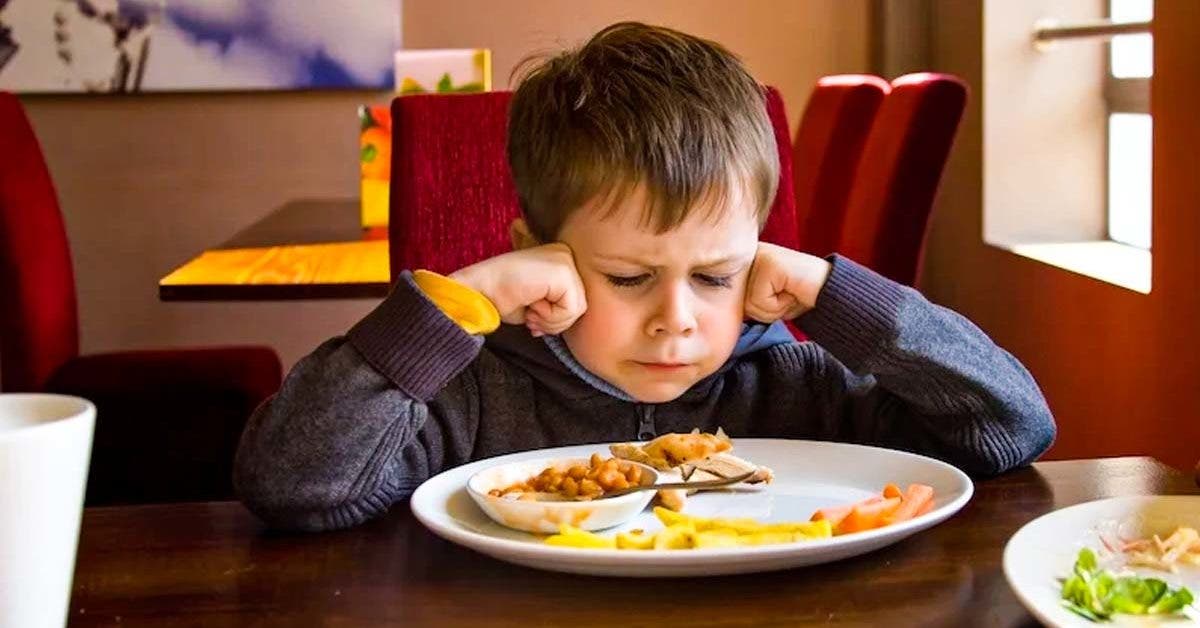 Restaurant Interdit aux Enfants : Nettie's House of Spaghetti Fait Débat