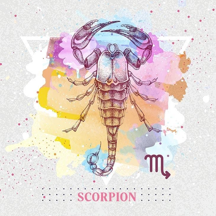 fantastic scorpion