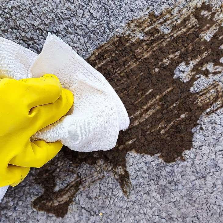 Nettoyer une tache de boue sur un tapis