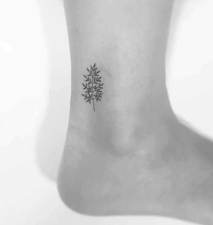Tatouage d’un petit arbre fin avec feuilles sur la cheville