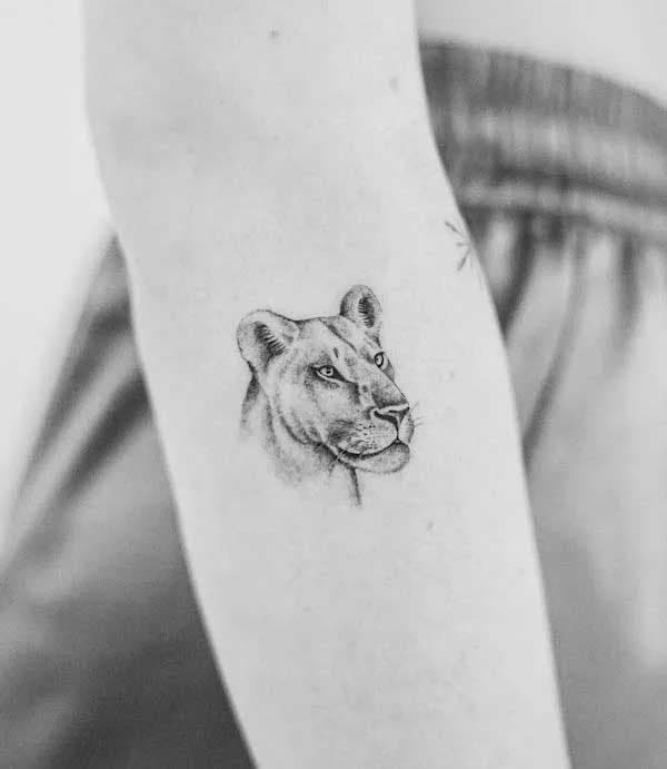 Tatouage lionne sur l’avant bras