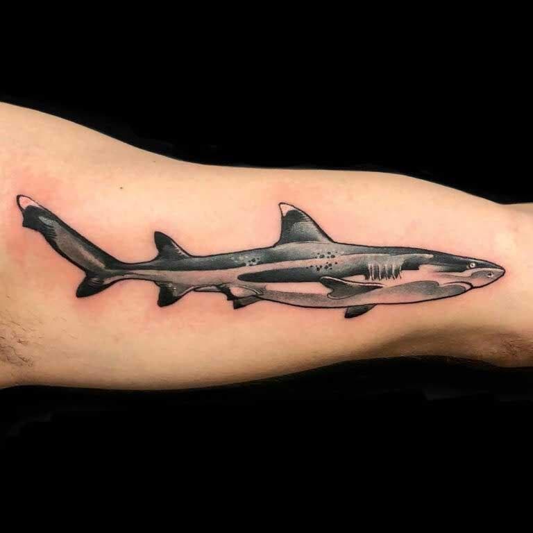 Tatouage de bras avec design de requin 
