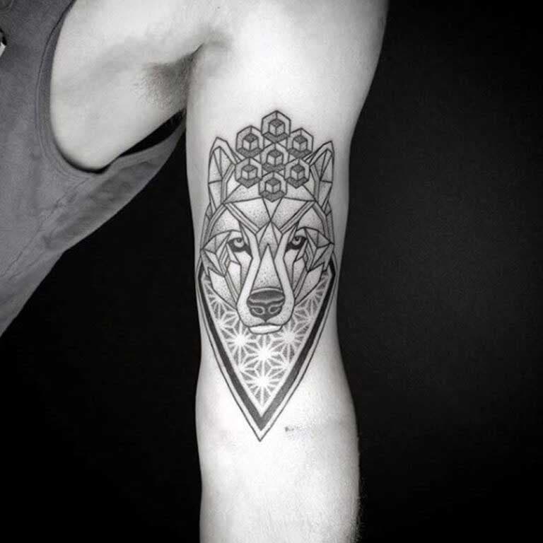 Tatouage de loup façon géométrique sur le biceps 