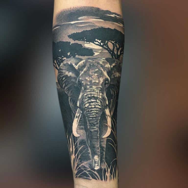 Tatouage d’un éléphant sur l’avant-bras
