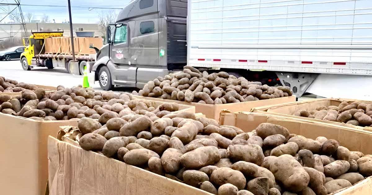 Un agriculteur donne 5,4 millions de kilos de pommes de terre au Manitoba