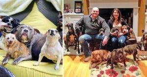 Un Amour Inconditionnel pour les Chiens : Chris et Mariesa et Leur Mission de Sauvetage