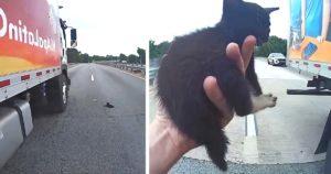 Un chauffeur de camion bloque la circulation pour aider un chaton perdu sur l'autoroute
