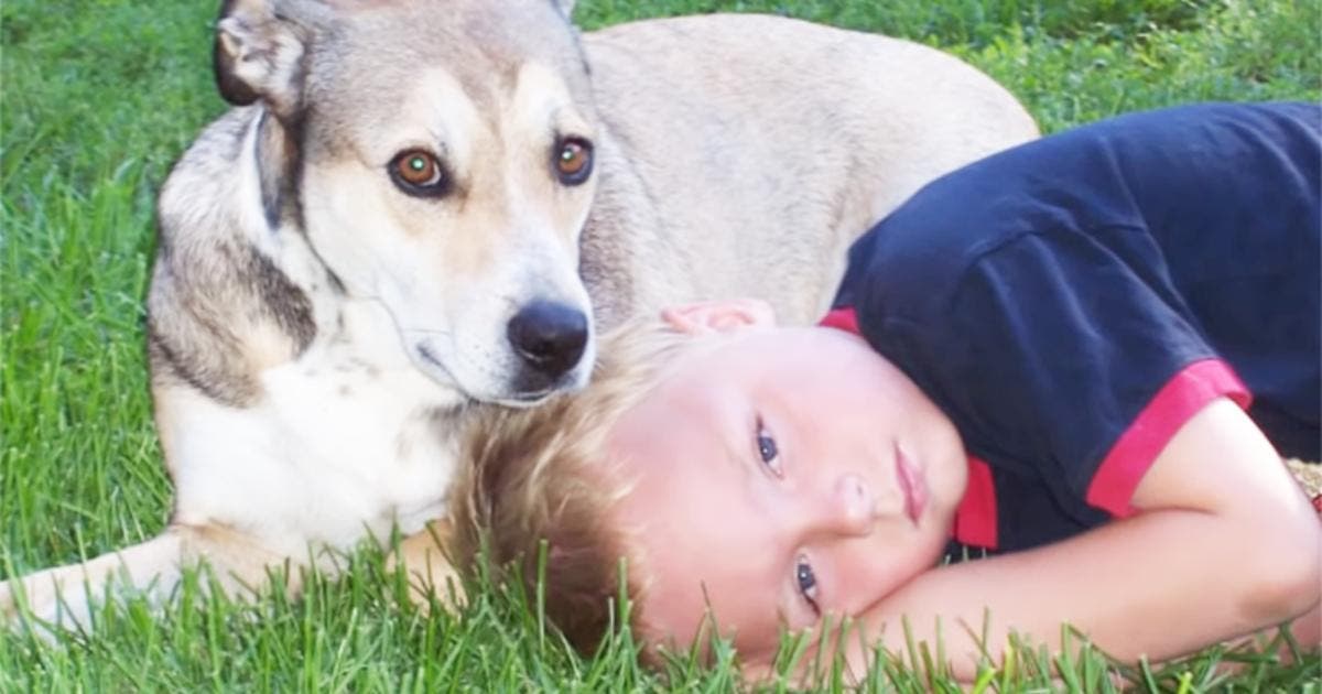 Un Garcon De 12 Ans Meurt A L Ecole Apres Qu On L Ait Prive De Son Inhalateur Contre L Asthme