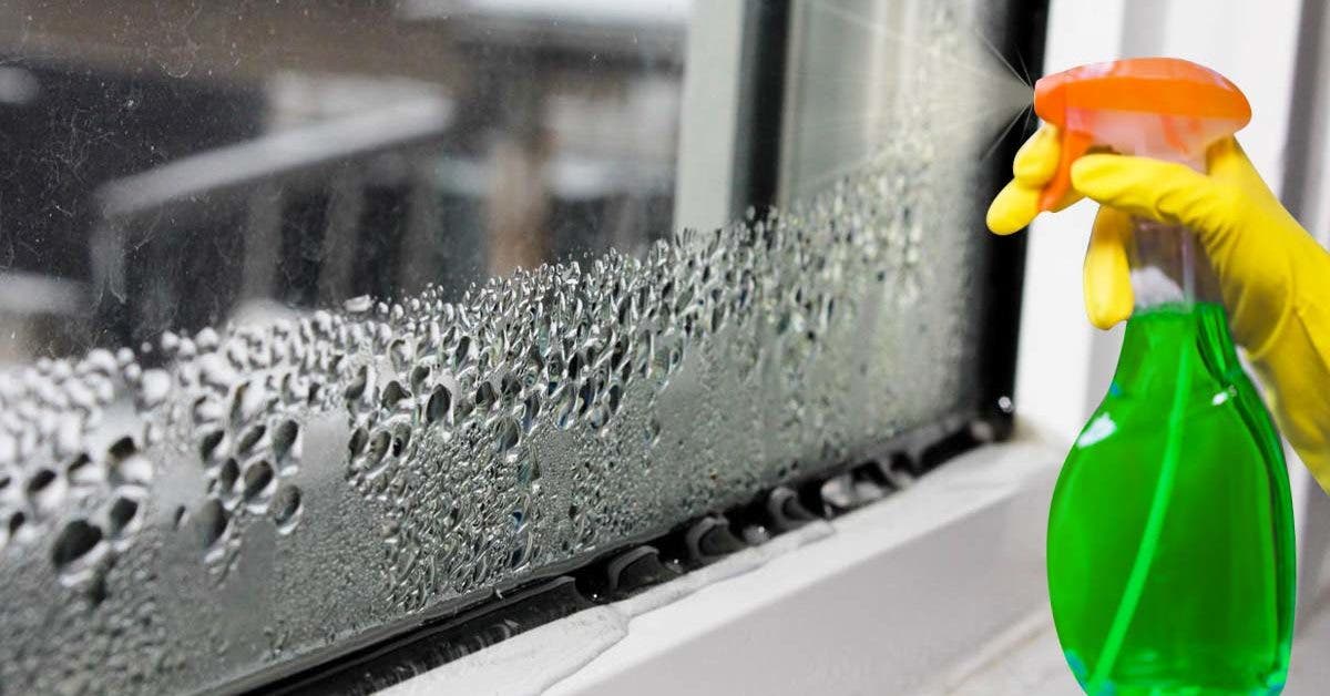 Nettoyant pour vitres avec effet anti-buée*