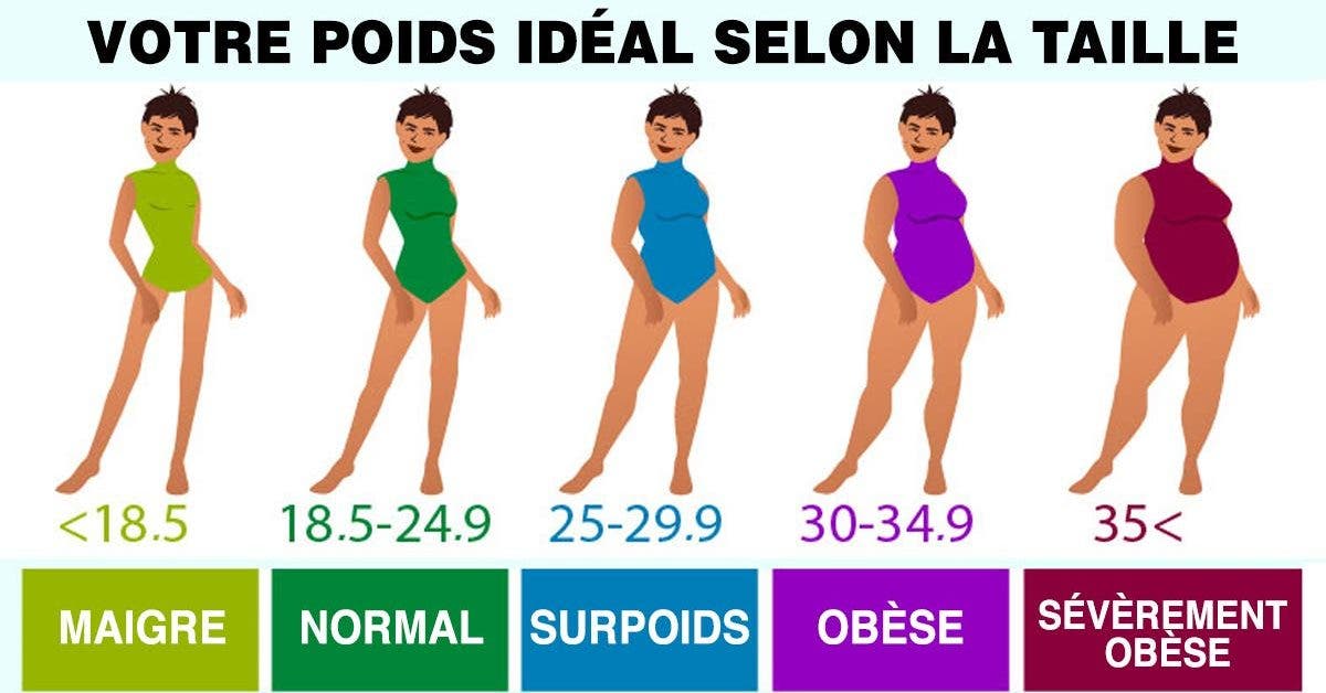 Le tableau du poids idéal pour les femmes selon leur morphologie et leur taille